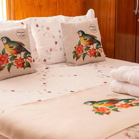 Hotel Albatros Punta Arenas Extérieur photo
